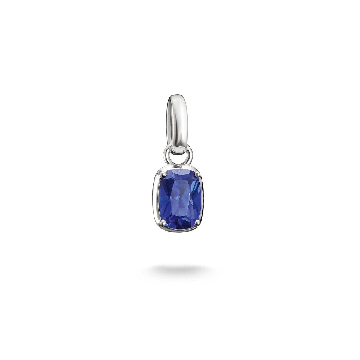 THOMAS SABO Connect Charm Birthstone September