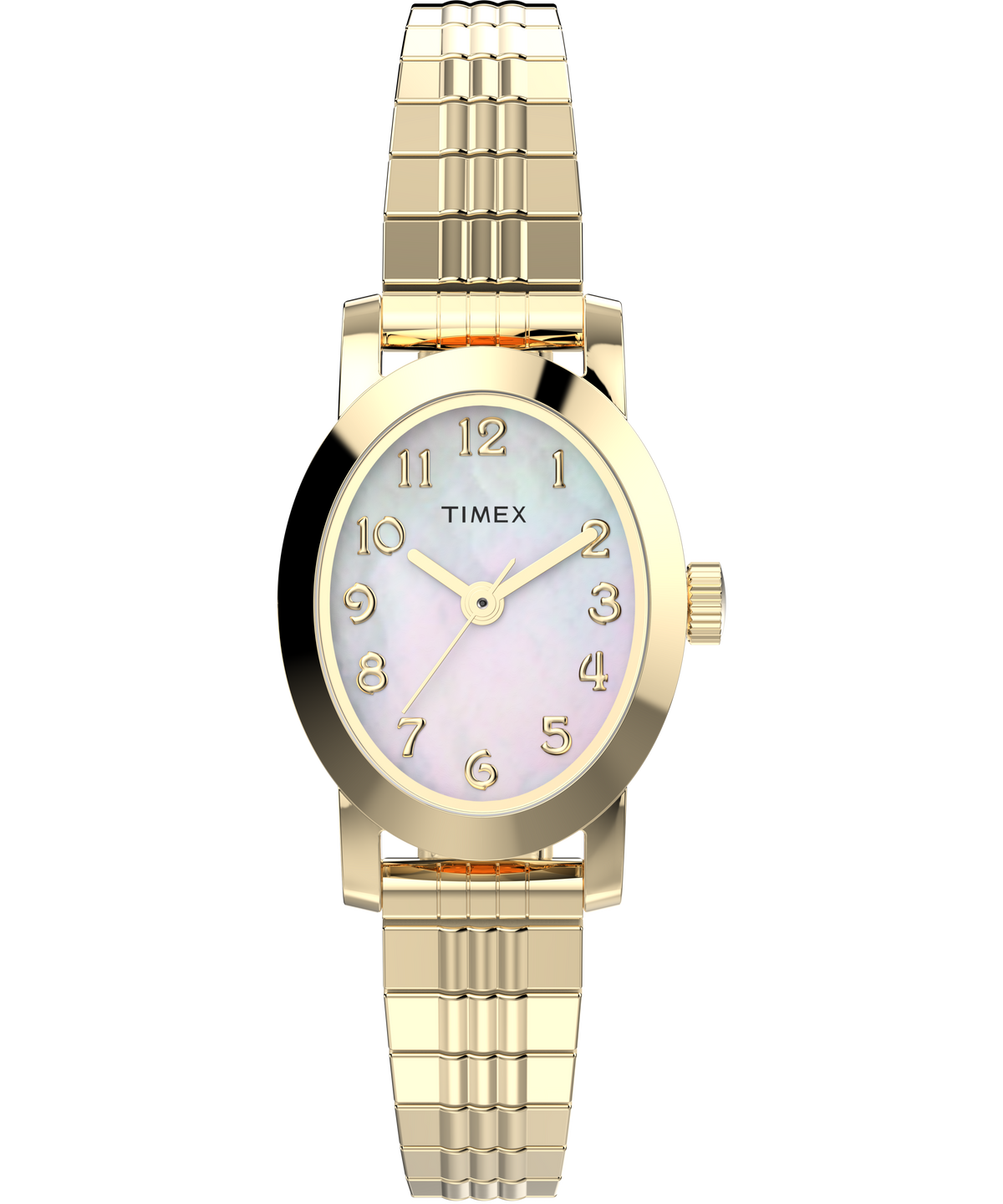 Timex Cavatina Gold Case and Band Mother Of Pearl Dial Women's Watch TW2W70100