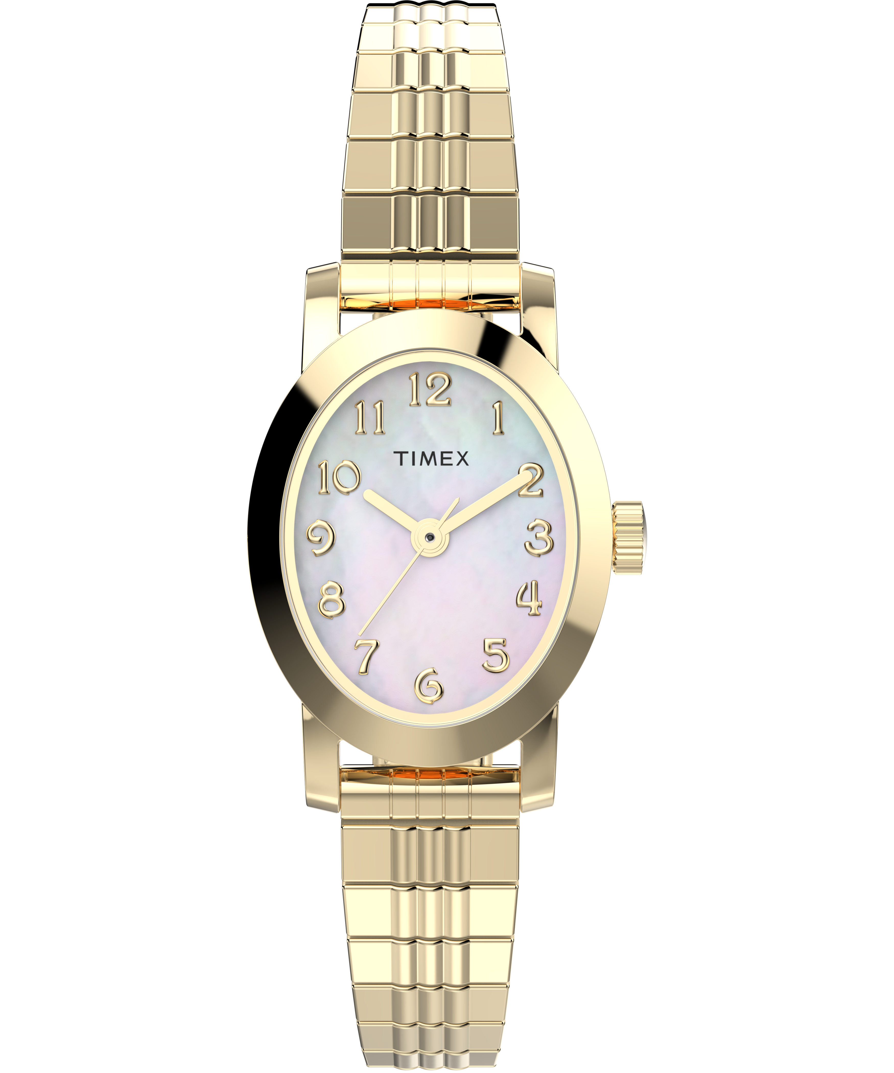 Timex Cavatina Gold Case and Band Mother Of Pearl Dial Women's Watch TW2W70100