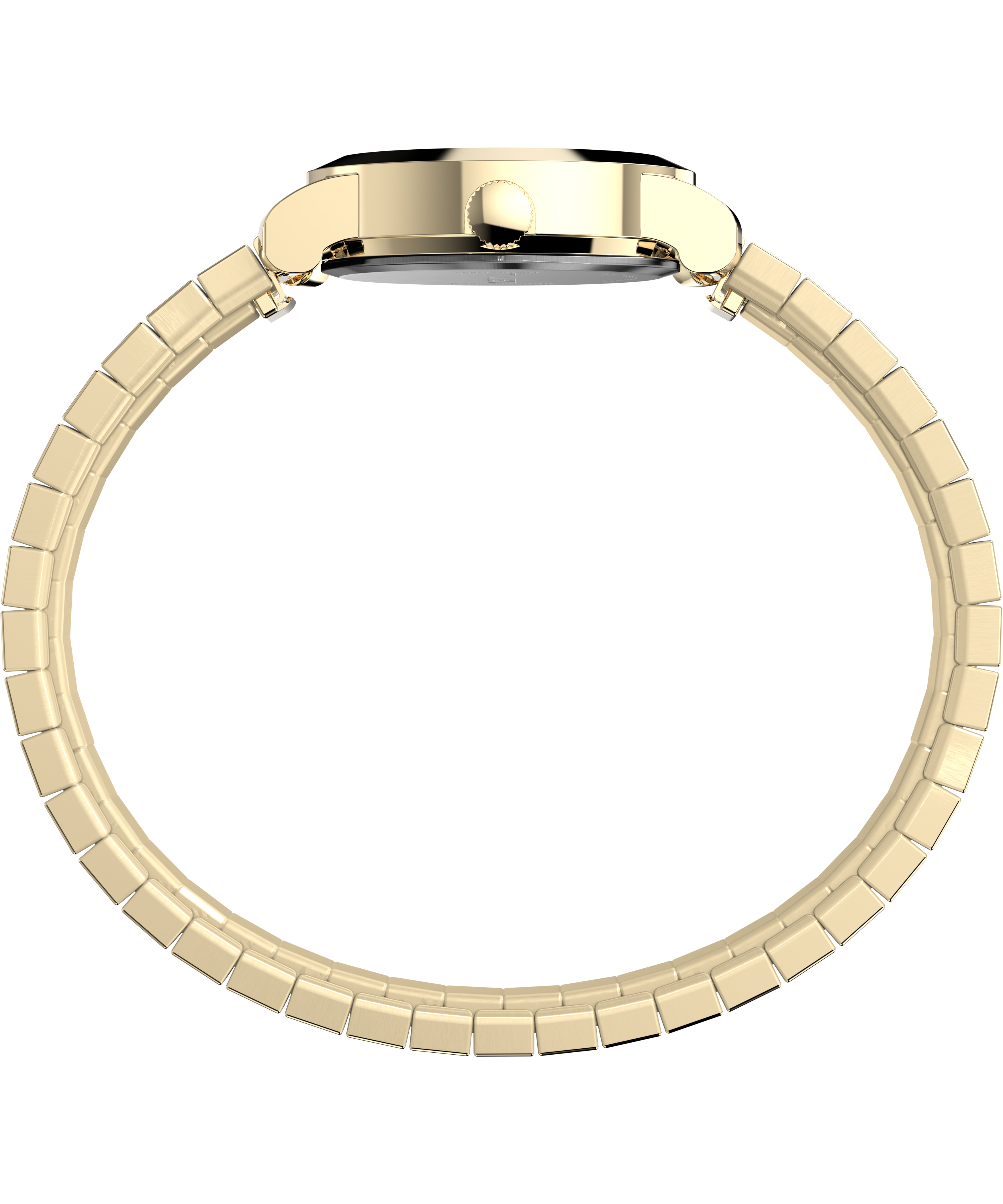 Timex Cavatina Gold Case and Band Mother Of Pearl Dial Women's Watch TW2W70100