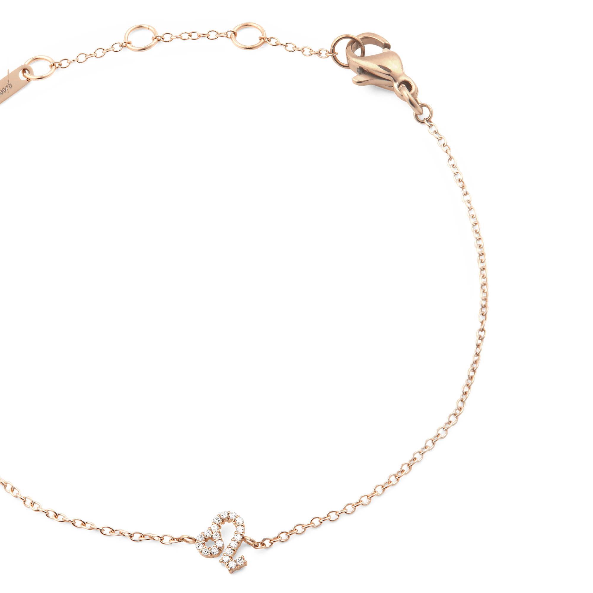 Daniel Wellington Crystal Zodiac Chain Bracelet Rose Gold