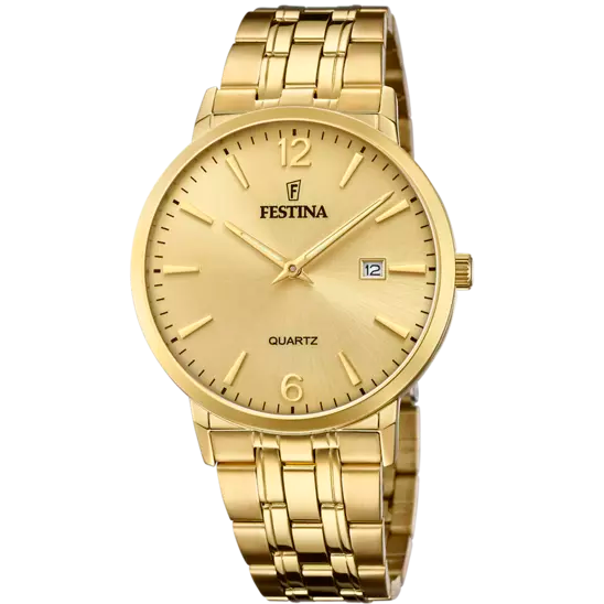 Elegant Festina Men's Watch with Gold Stainless Steel Strap and Champagne Dial F20513/3