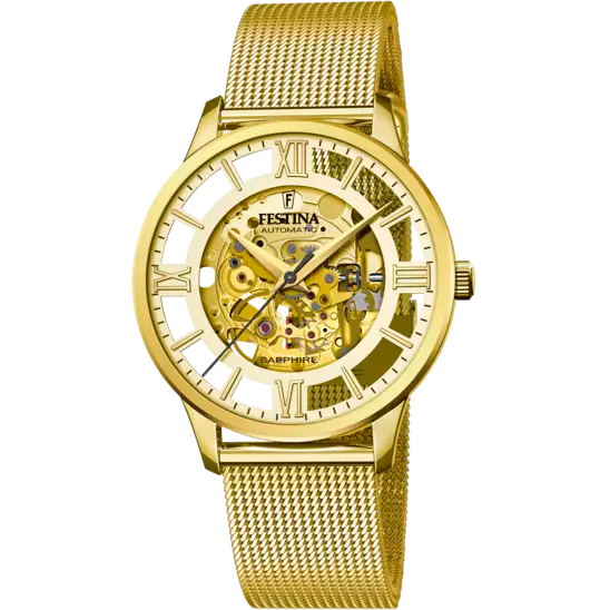 Festina Gold Dial Gold Stainless Steel Strap Men's Watch F20667/1