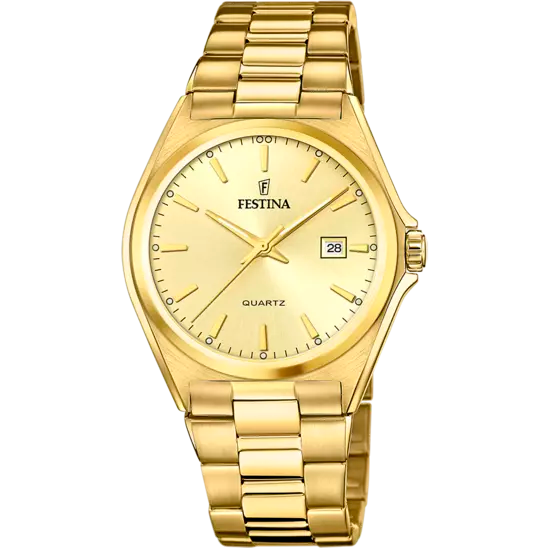 Festina Men's Sophisticated Elegance Stainless Steel Timepiece F20555/3