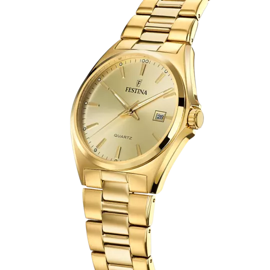 Festina Men's Sophisticated Elegance Stainless Steel Timepiece F20555/3