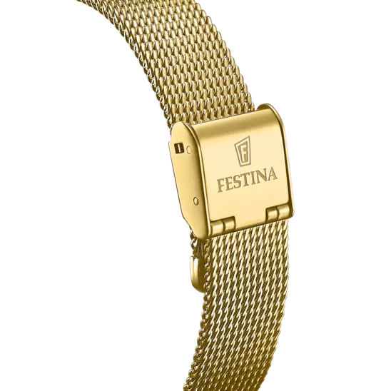 Festina Silver Dial Stainless Steel Strap Women's Watch F20629/1