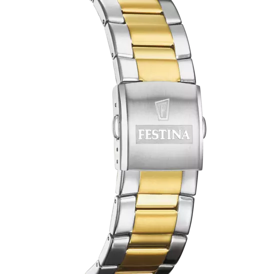 Reloj Festina Gold Dial Stainless Steel Men's Watch F20562/1