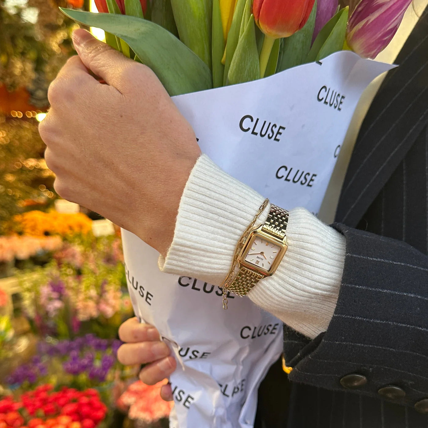 CLUSE Gracieuse Mini Watch Steel, White, Gold Colour Watch CW15506