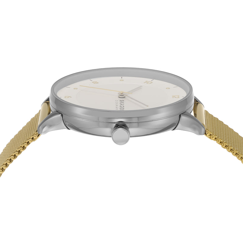 Skagen Riis Minimalist Gold Stainless Steel Mesh Watch SKW3092