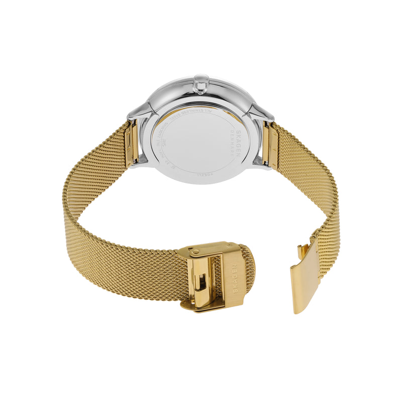 Skagen Riis Minimalist Gold Stainless Steel Mesh Watch SKW3092