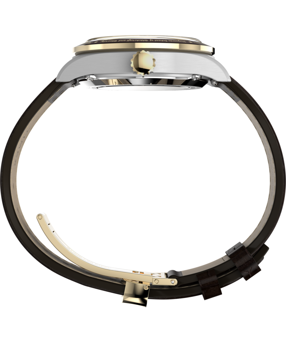 Timex Harry Potter Waterbury Automatic Men's Watch TW2Y75500